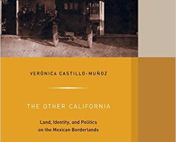 bookcover of Verónica Castillo-Muñoz's The Other Califronia Land, Identity, and Politics on the Mexican Borderlands