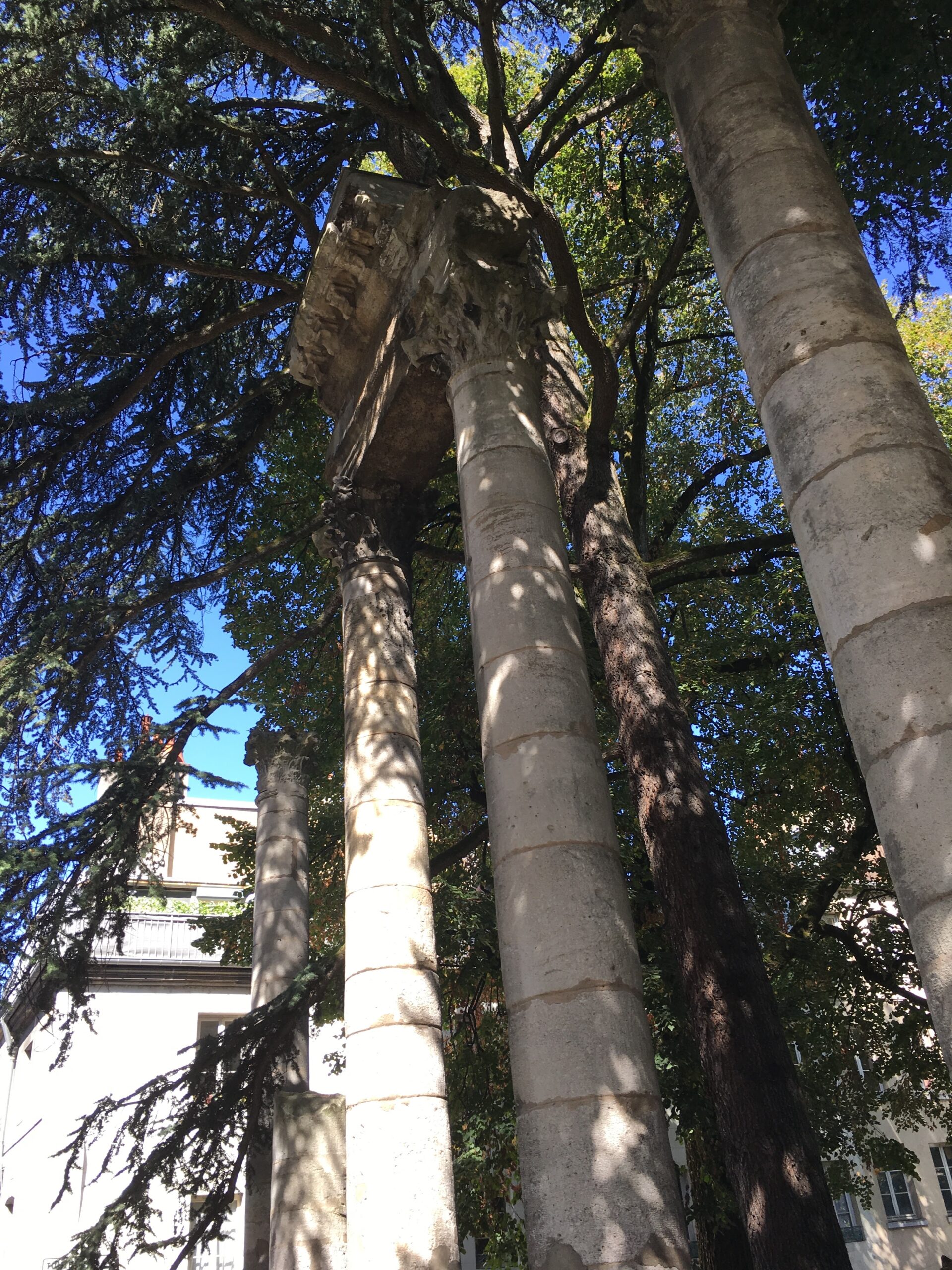 upward angled photo of columns in front of trees